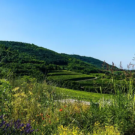 Hotell Balis Crema Verona Hills (adults Only)