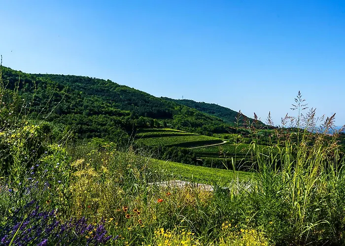 Hotel Balis Crema Verona Hills (adults Only)